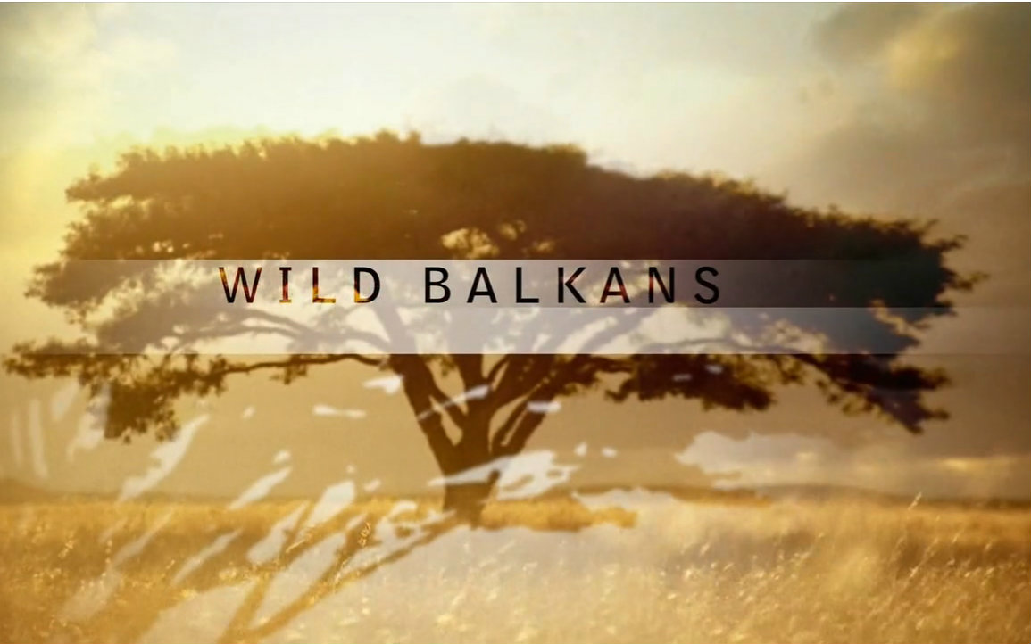 纪录片.PBS.野性巴尔干半岛.Nature.2010.Wild.Balkans.简介[英字]哔哩哔哩bilibili