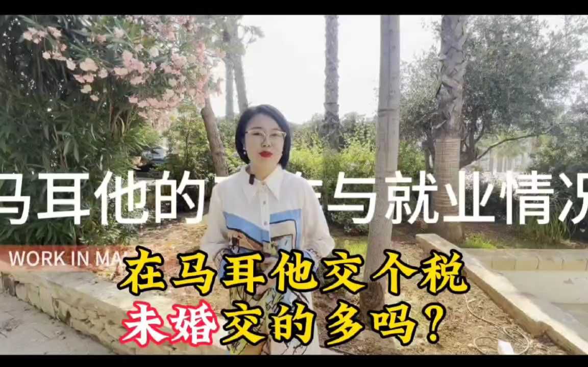 在马耳他交个税未婚交的多吗?哔哩哔哩bilibili