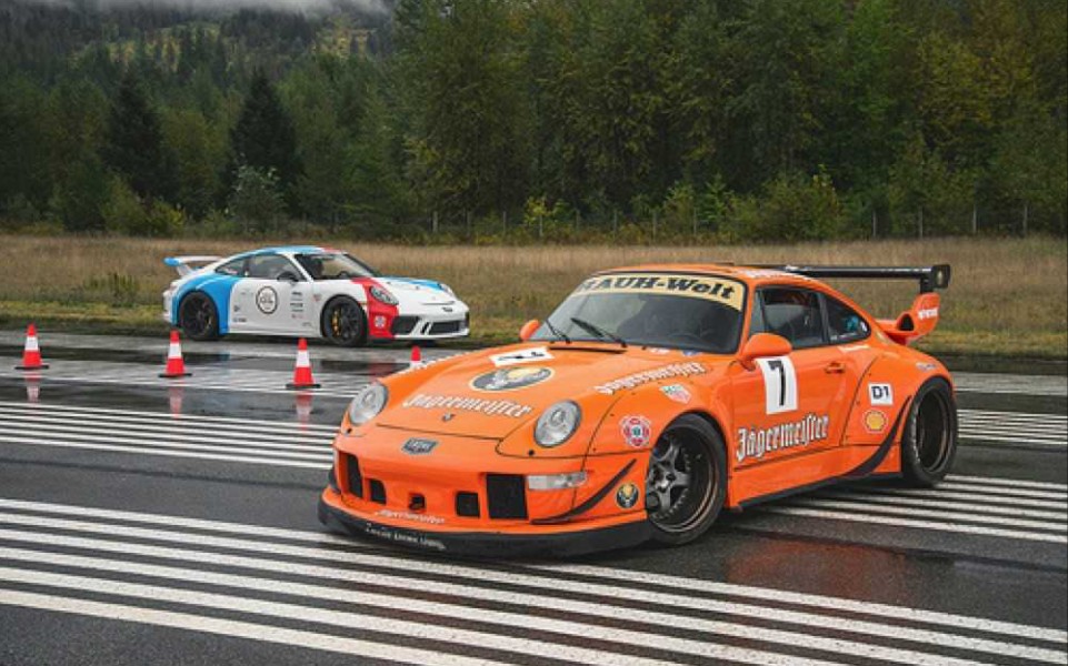 rwb 993 野格鹿头涂装