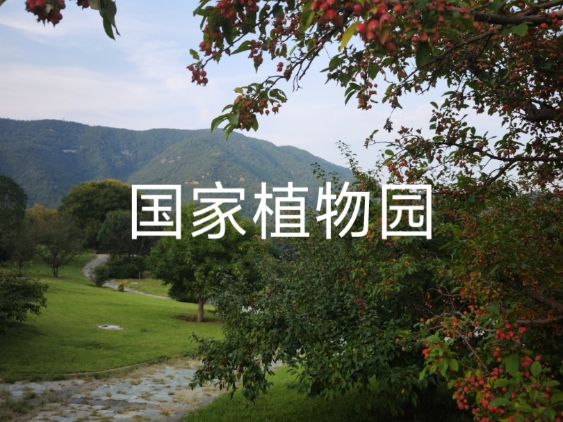 国家植物园湖光山色,美景尽收眼底哔哩哔哩bilibili