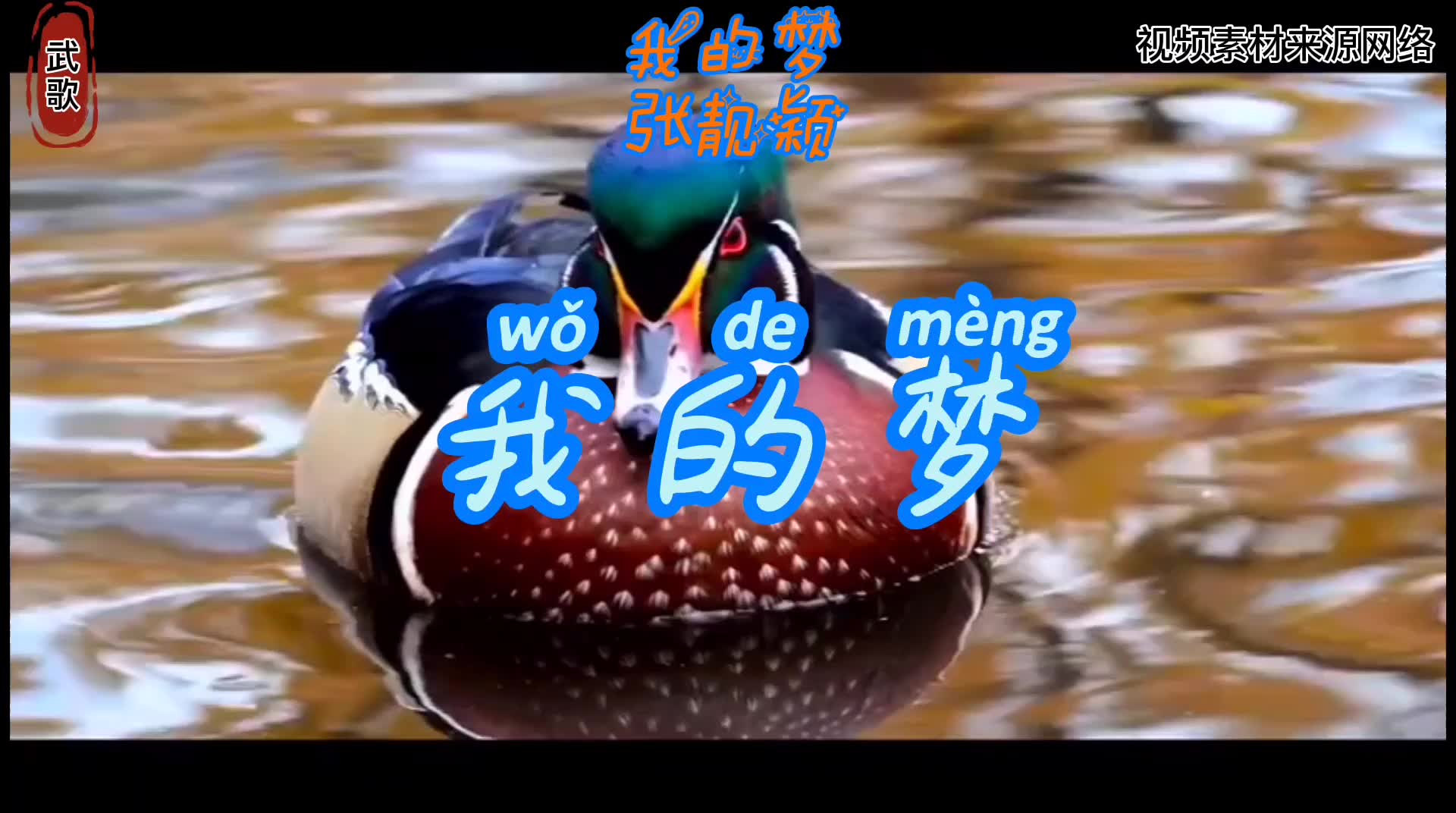 华为经典《我的梦》