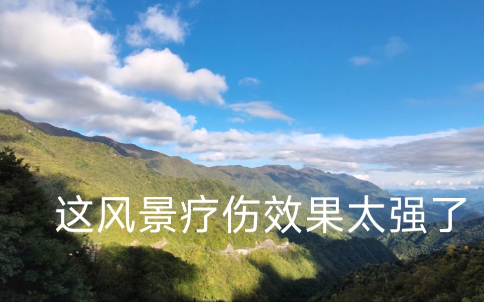 旅行巴山楚水凄凉地,这儿的风景治愈了我哔哩哔哩bilibili