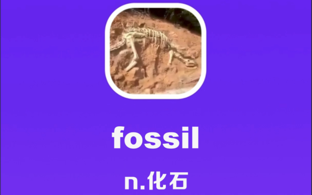 fossil:化石哔哩哔哩bilibili