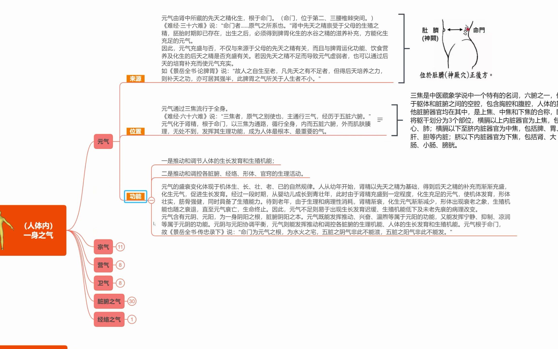 【气三】中医所说的“元气”是什么?哔哩哔哩bilibili