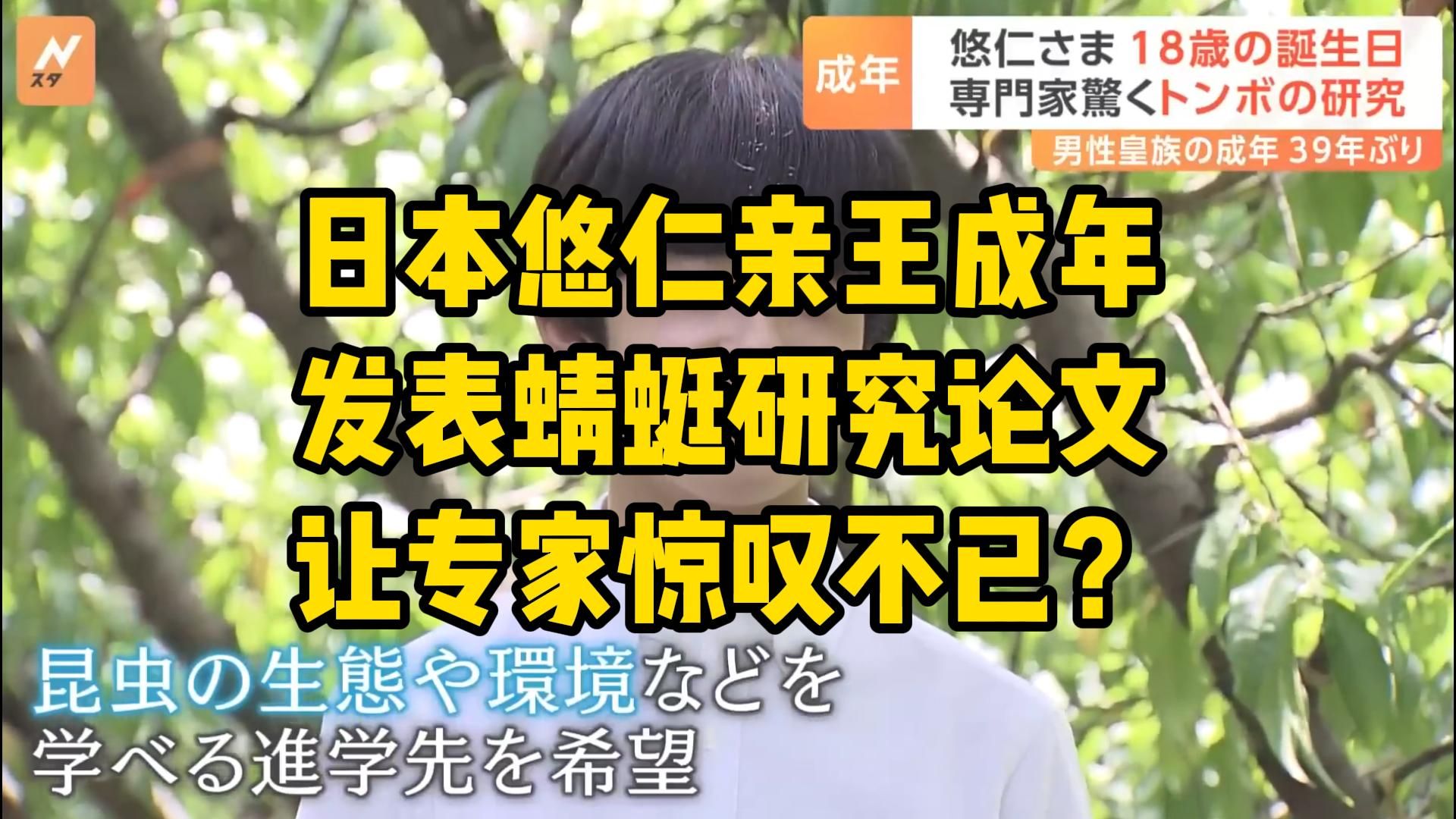 悠仁亲王发表蜻蜓学术论文让专家都惊叹不已?明年要上东大农学部?哔哩哔哩bilibili