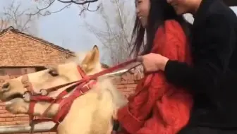 我也喜欢这么骑马