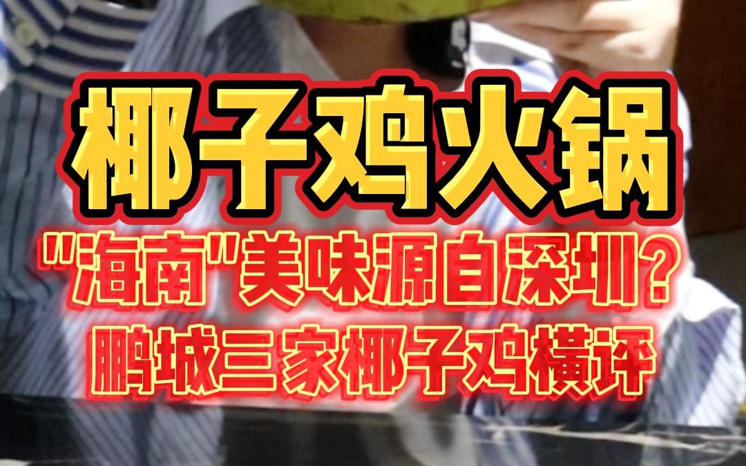 一天吃遍深圳3家椰子鸡,肥佬、润园四季、果林,各有什么特点?哔哩哔哩bilibili