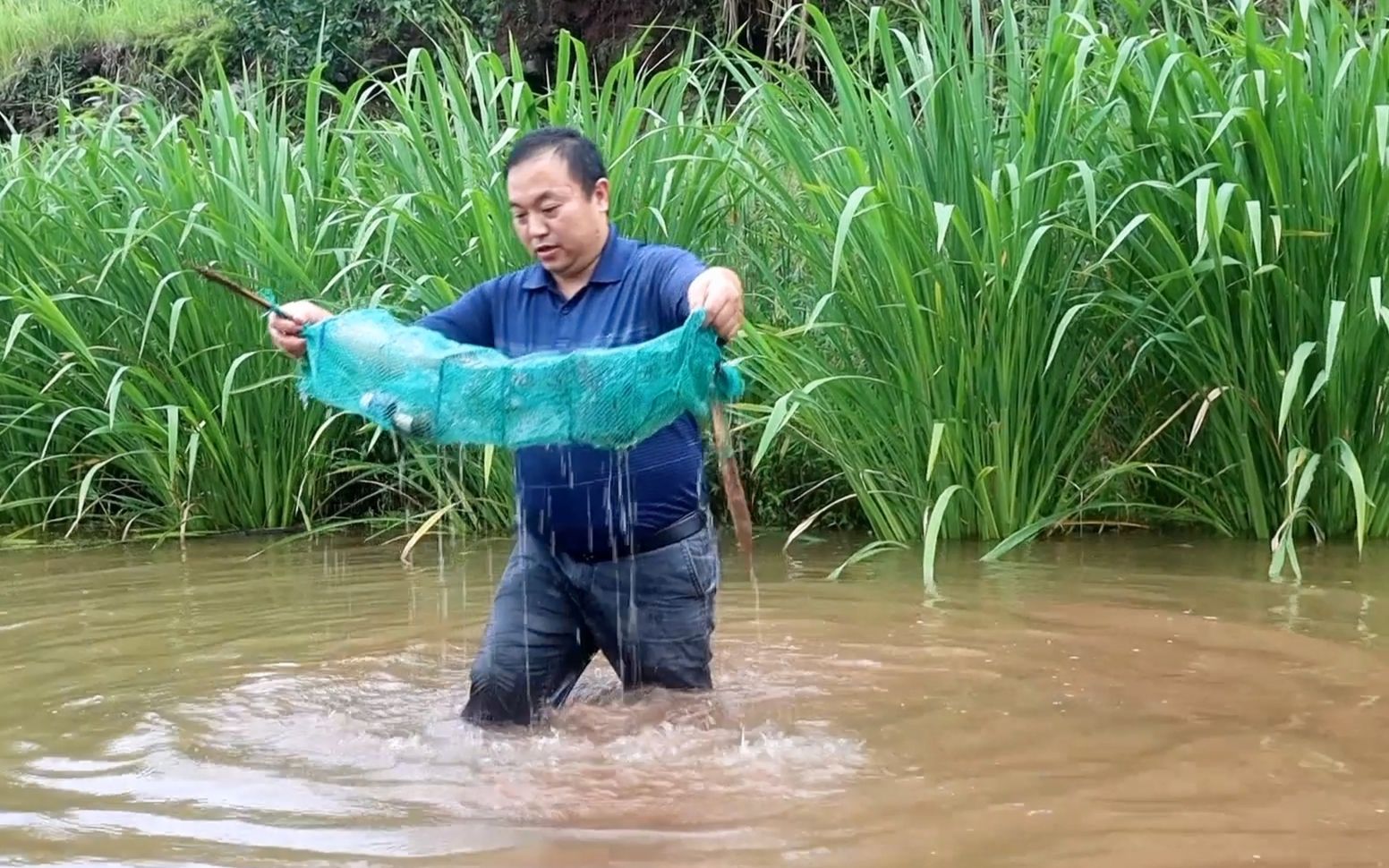 二哥冒雨下地籠雨後地籠收穫滿滿二嫂直呼賺大了