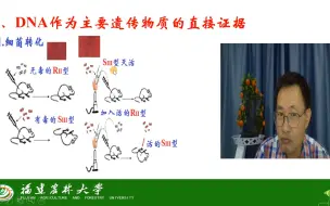 Скачать видео: 第三章 遗传物质的分子基础-DNA作为主要遗传物质的证据-DNA作为主要遗传物质的直接证据-茶创2021级