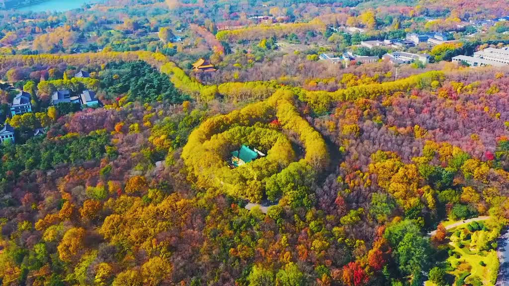 586_稳中带甩玩法国梧桐树串起来的项链,包住了这座美龄宫!