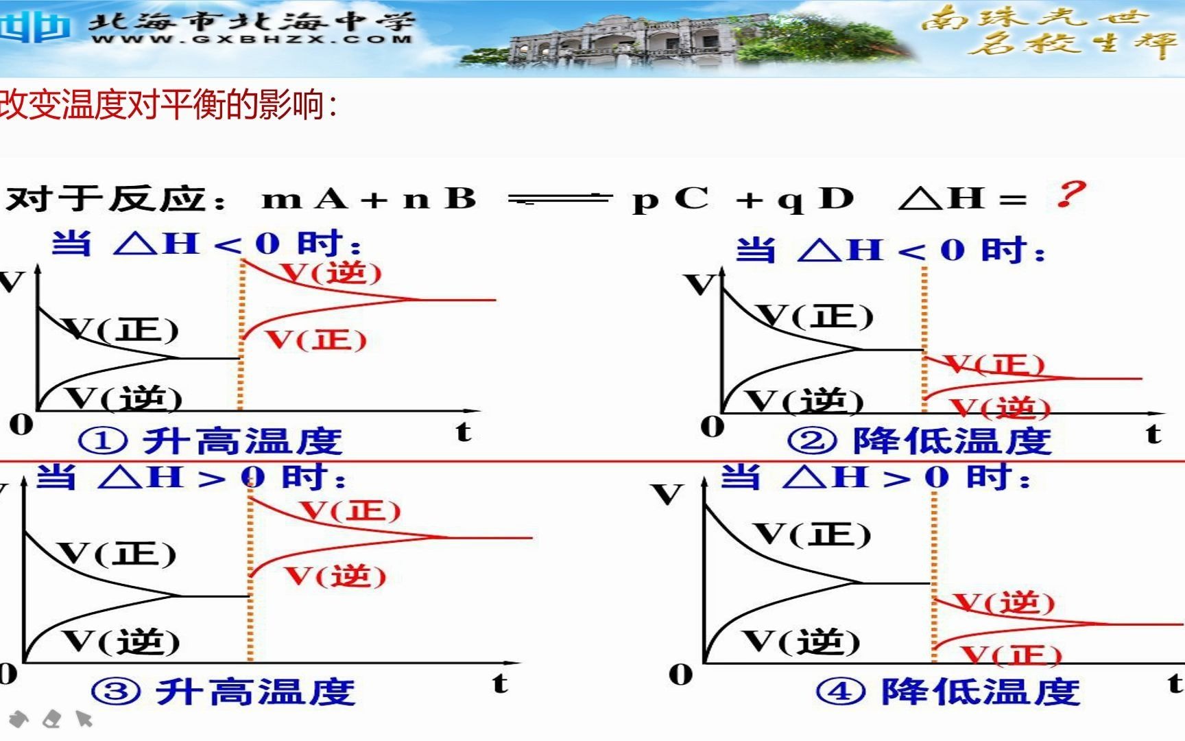 选修四化学平衡图像分析vt图像cxg