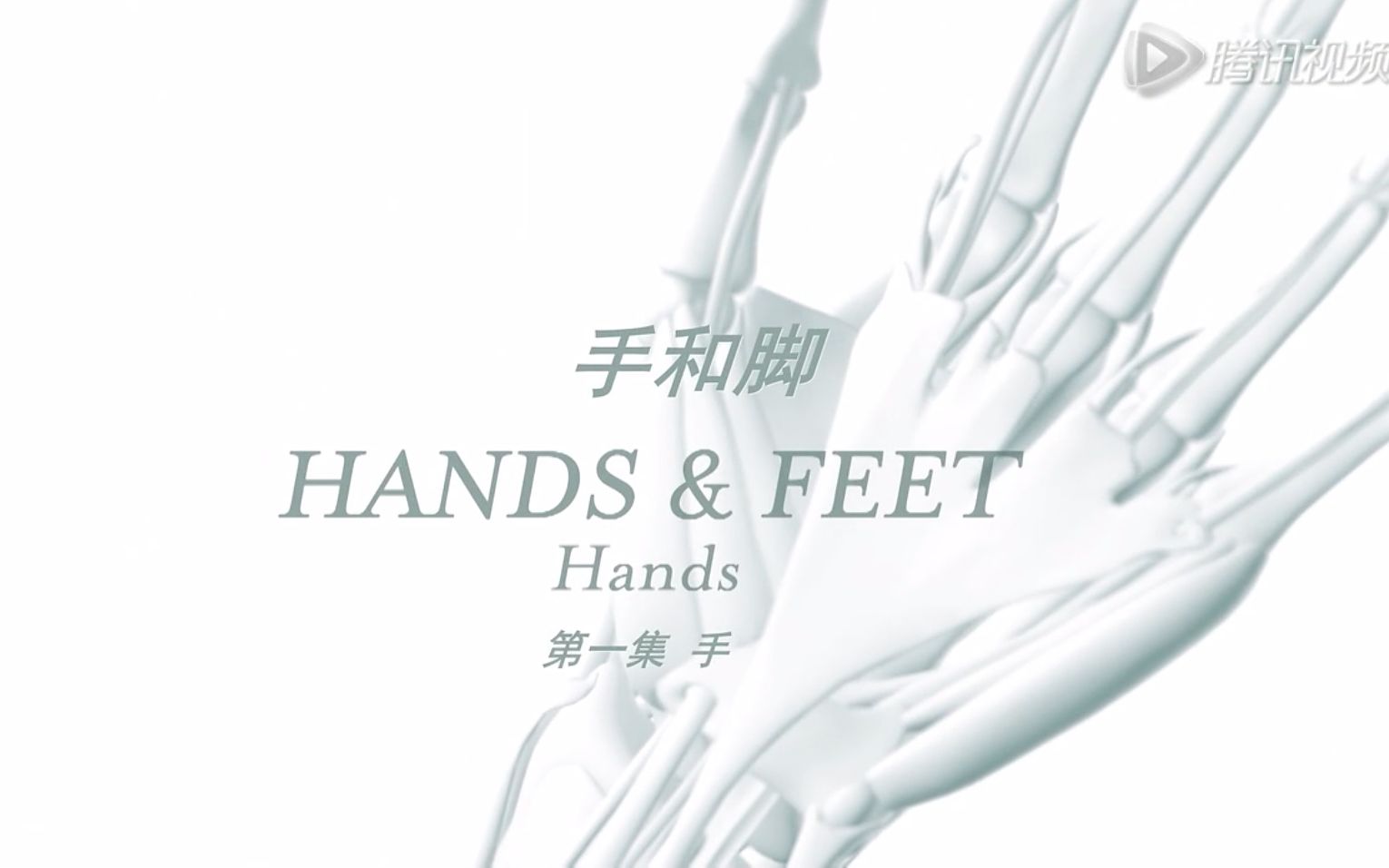 【纪录片】手和脚 全2集 Hands & Feet (2016)哔哩哔哩bilibili