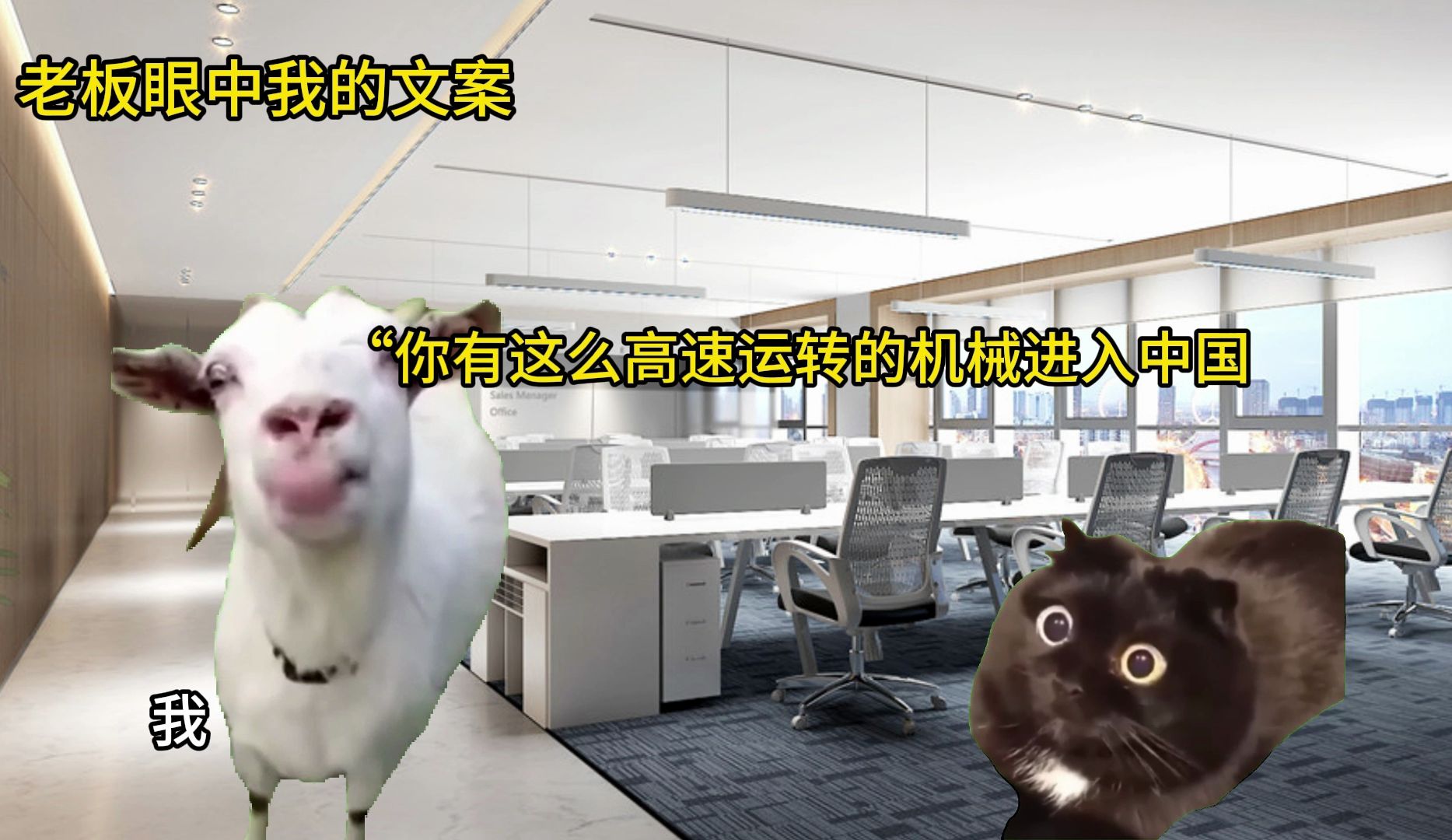 【猫meme】领导说每100个赞就给我1块钱奖金 求大家帮忙!哔哩哔哩bilibili