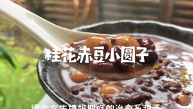 英文 桂花酒酿圆子mini Rice Balls With Sweet Rice Wine 自制糯米小圆子 蛋花水果甜羹糖水 春天的100种味道 哔哩哔哩 つロ干杯 Bilibili