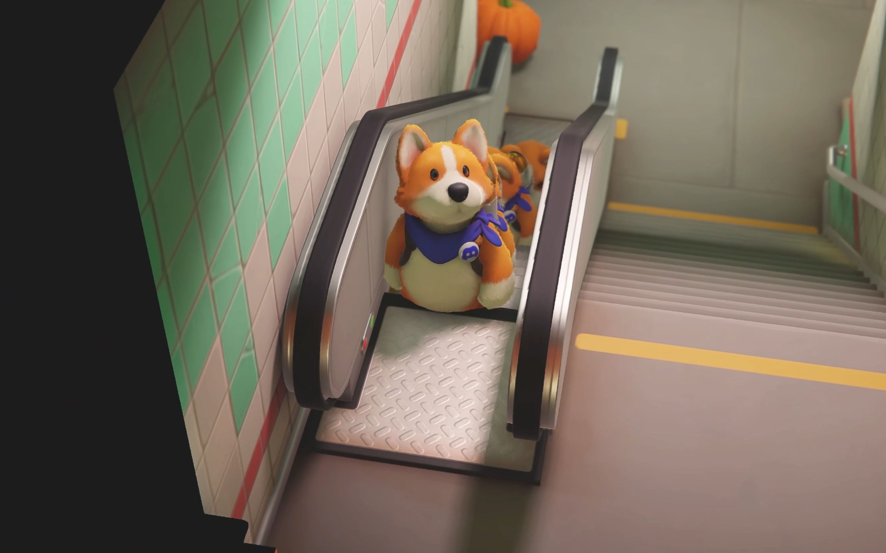 【猛兽派对特辑】有谁能拒绝会看镜头的小狗们排队上电梯啊!