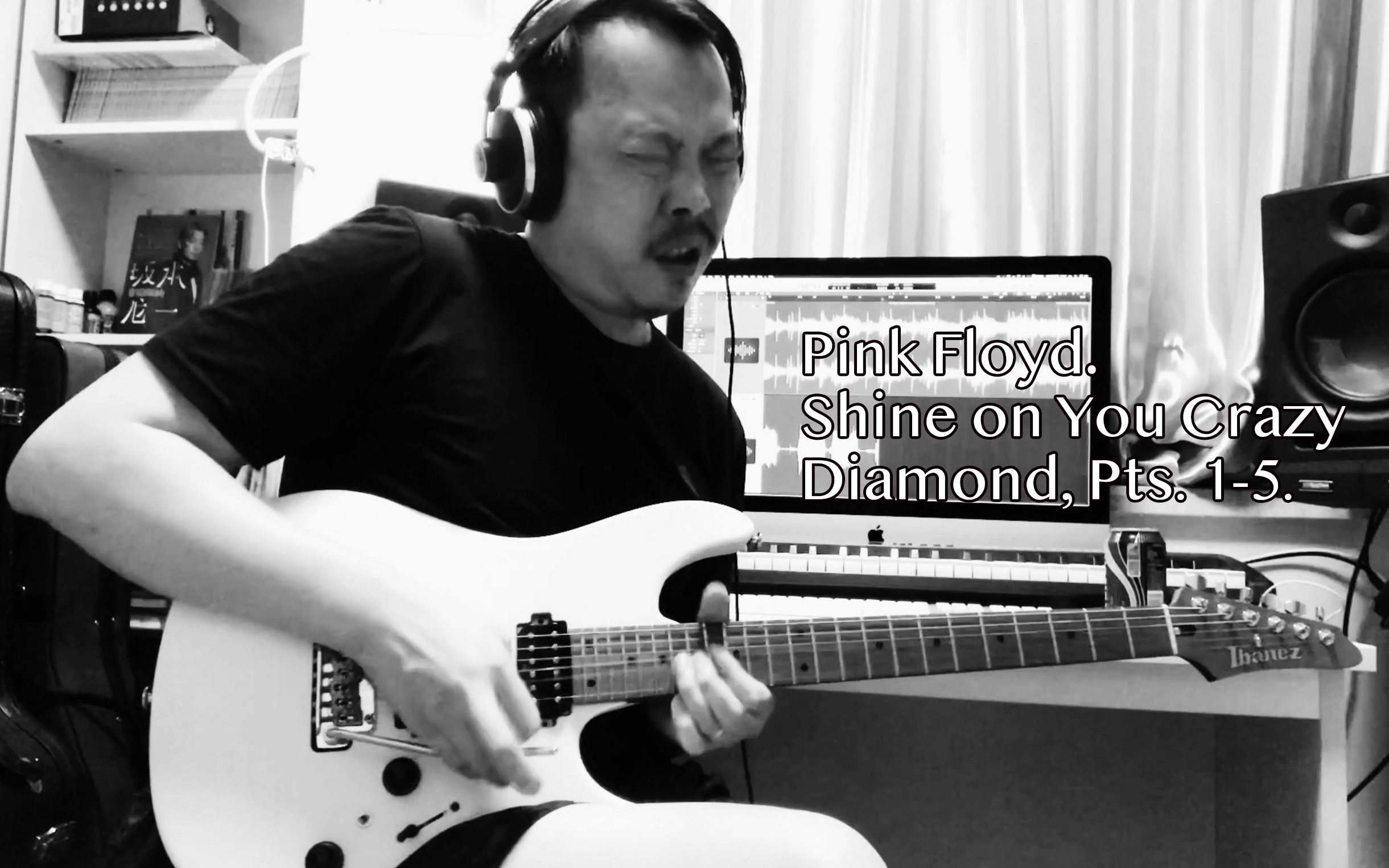 [图]Pink Floyd.Shine on You Crazy Diamond, Pts. 1-5.