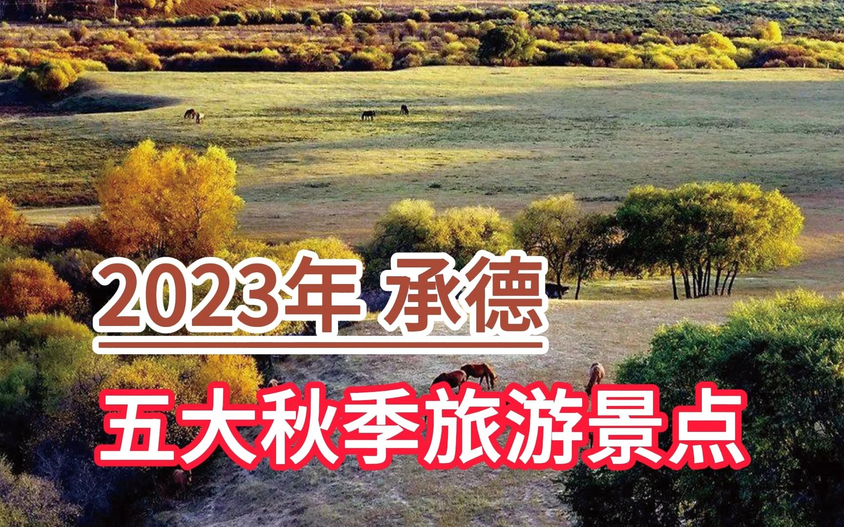 2023年承德五大秋季旅游景点,塞罕坝、坝上草原、金山岭长城哔哩哔哩bilibili