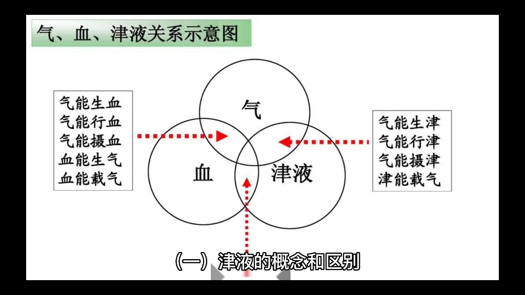 中医基础理论(津液篇)|考点解析(视频内容见简介)哔哩哔哩bilibili