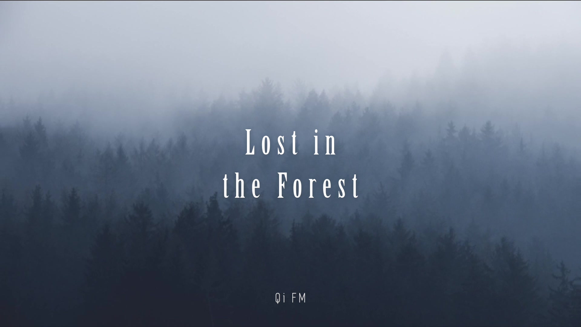 [图]【治愈系自然混音】失忆森林 ∙ Lost in the Forest - 森林、林风、雨后。放松舒缓的钢琴曲帮助睡眠、放松和冥想