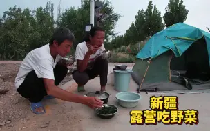 Video herunterladen: 和媳妇一起骑行穷游新疆，在露营地买不起菜，在路边摘野菜吃