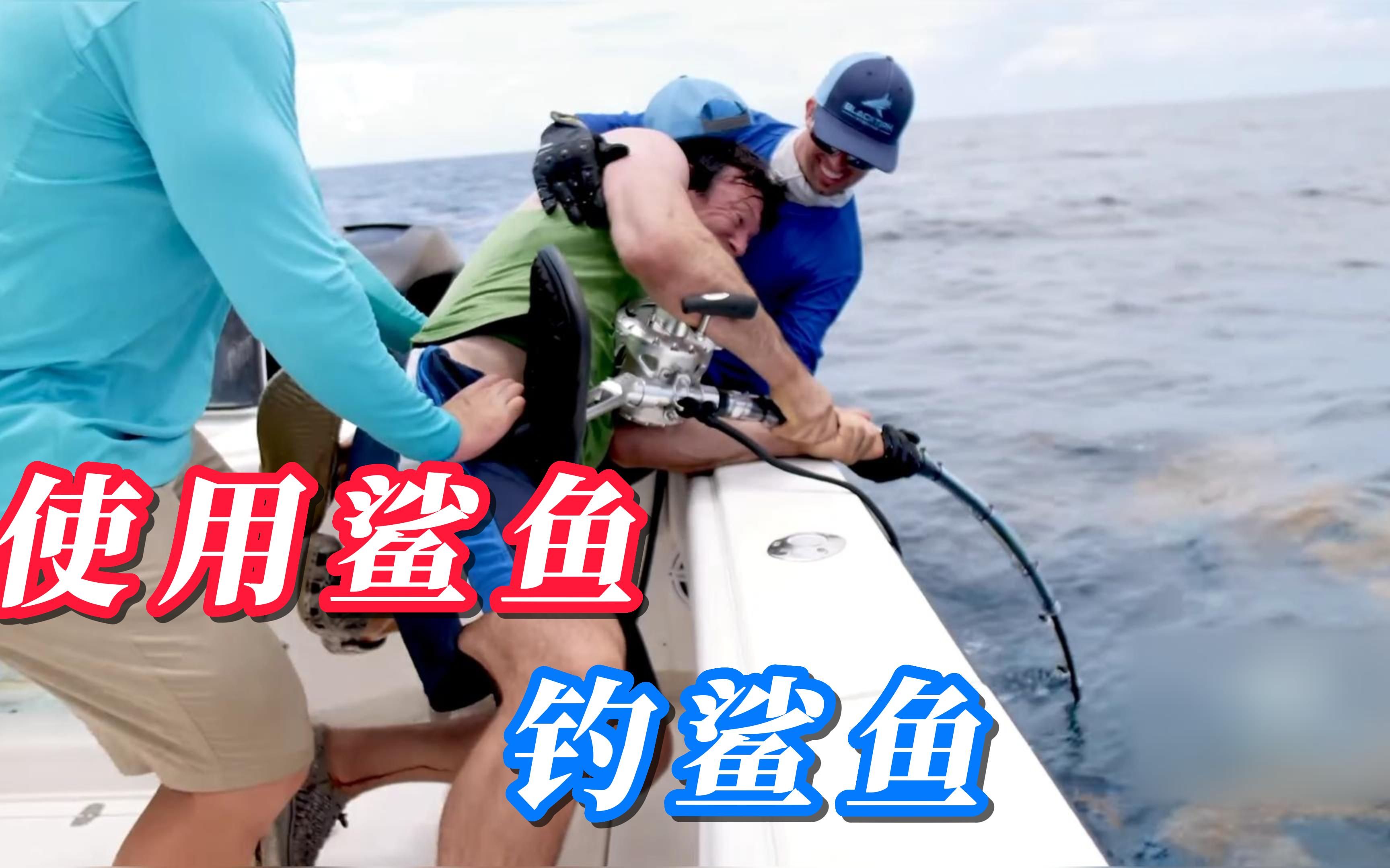 你们见过使用鲨鱼钓鲨鱼吗?两名大力士轮番上阵都没能成功