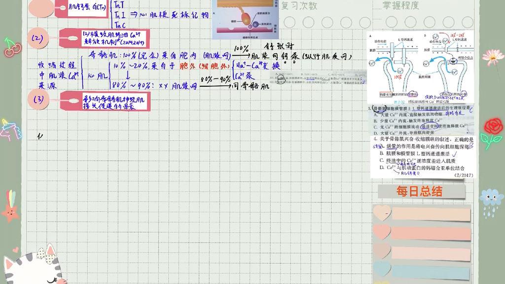 横纹肌终池钙离子释放机制 骨骼肌VS心肌哔哩哔哩bilibili