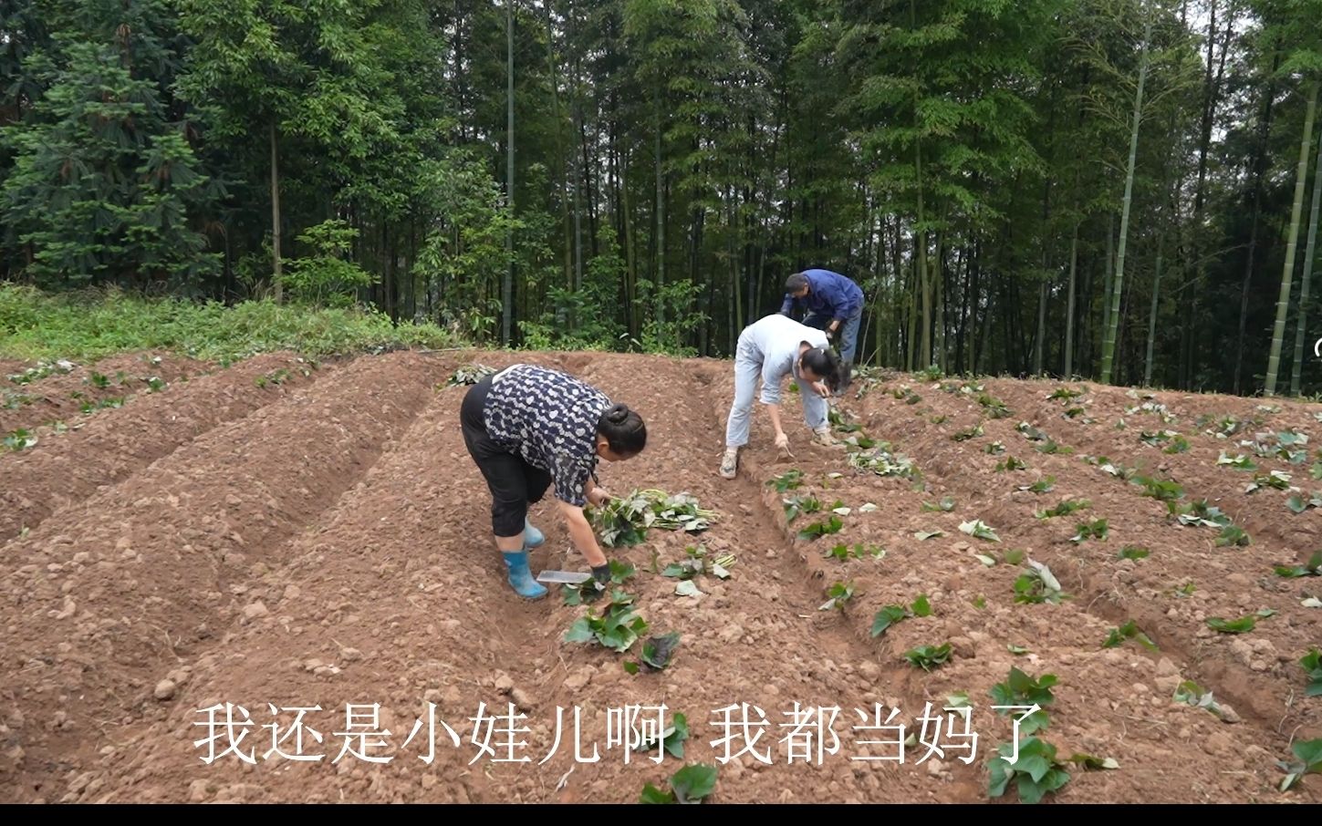 爱是什么,爱是陪伴.孩子再大,在父母眼里都是孩子哔哩哔哩bilibili