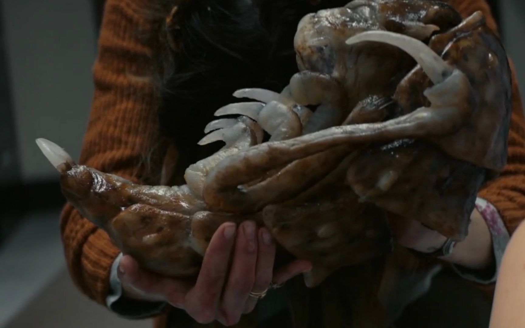 异形借助人类繁殖三天就孵出一只幼虫虫后一部怪兽科幻电影