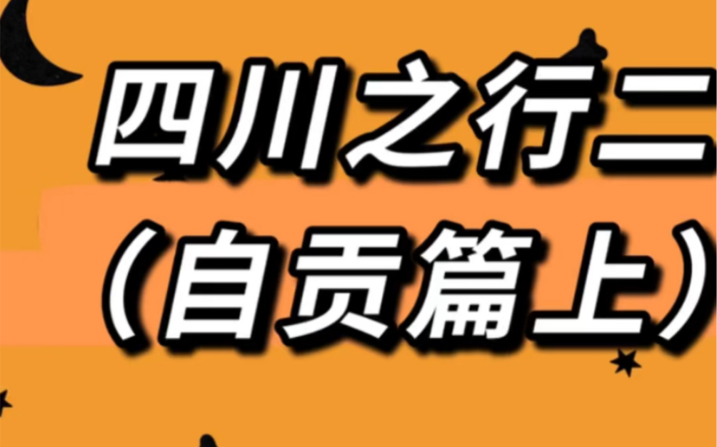 四川之行(自贡篇)测评排名第一的“厕所兔”哔哩哔哩bilibili