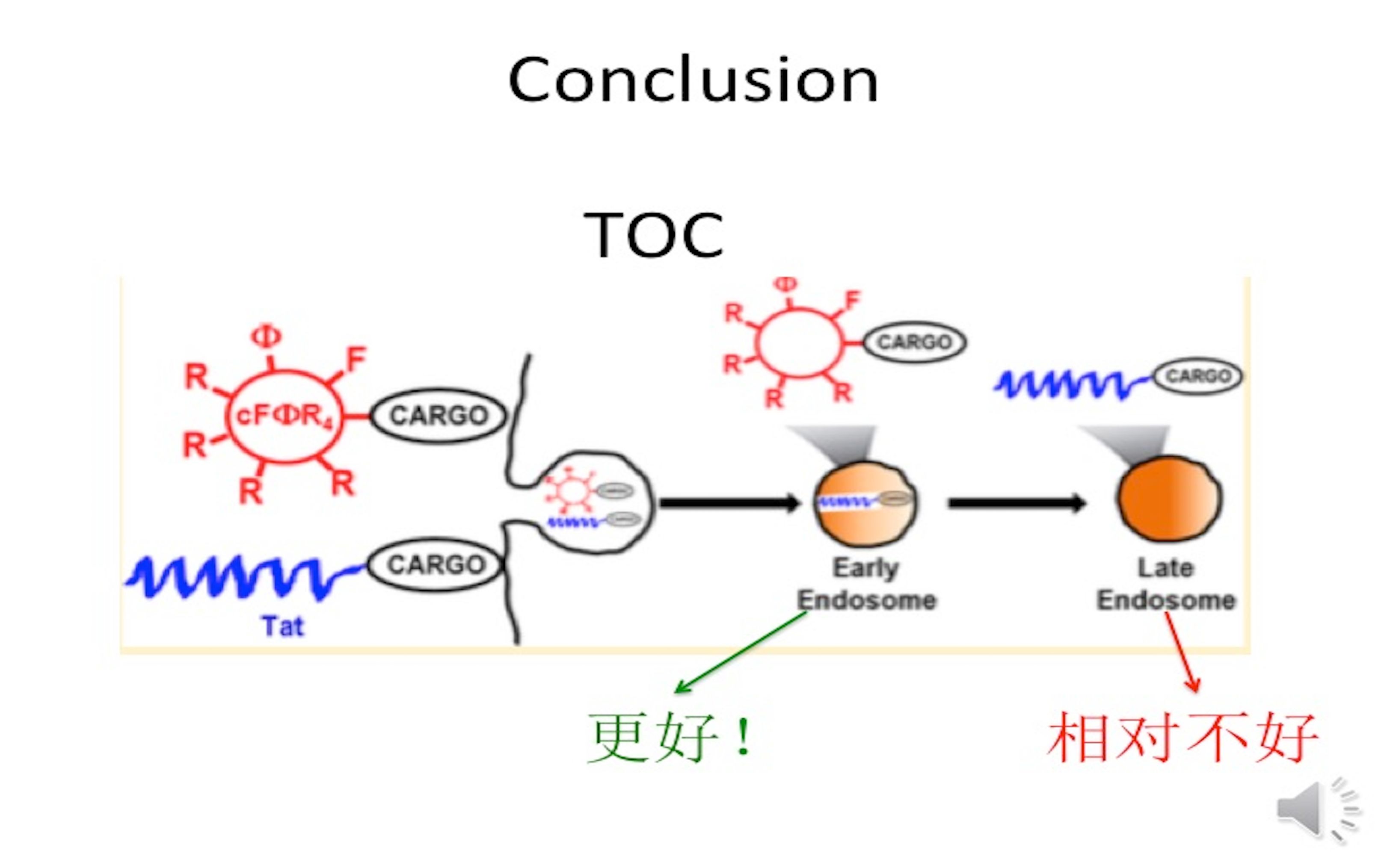 站在科研的最前端:一起来读学术文章|新型药物递送技术cell penetrating peptide哔哩哔哩bilibili