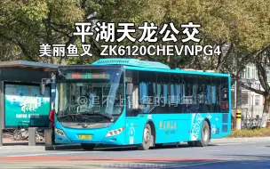 Download Video: 【平湖天龙公交】平湖天龙公交210路 宇通ZK6120CHEVNPG4 平湖客运中心站出站