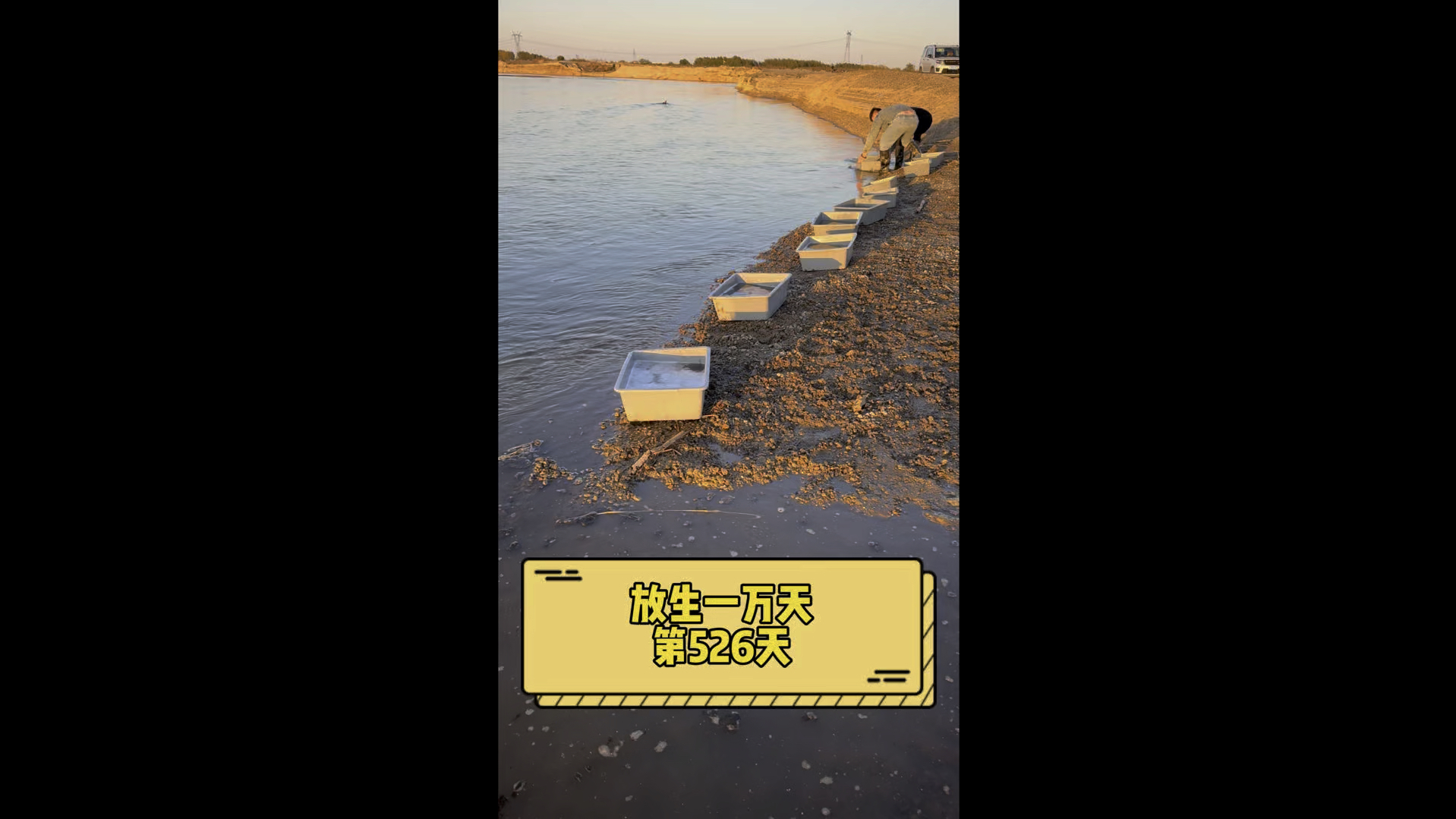 放生一万天第526天
