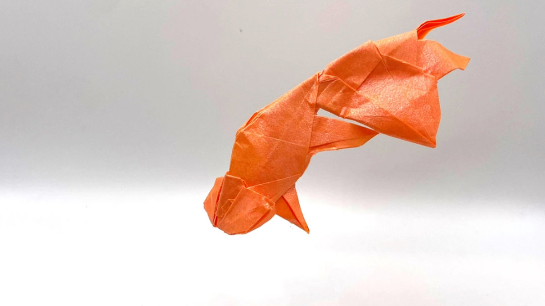 又折了两条金鱼