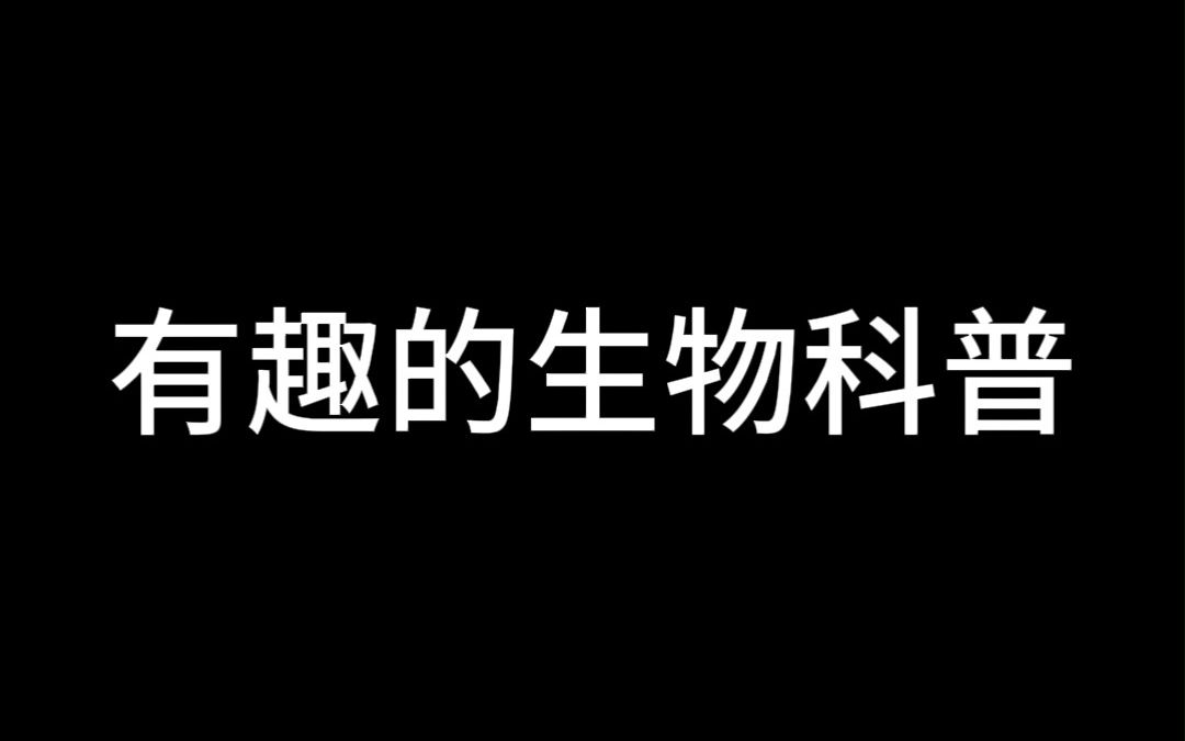 有趣的生物科普哔哩哔哩bilibili