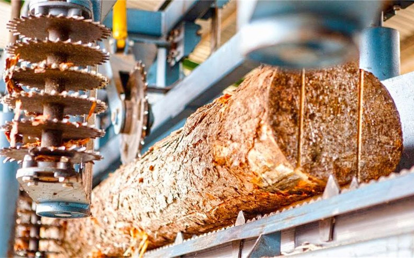 实拍国外木材加工过程!太强大了,木头进去出来就是高级货