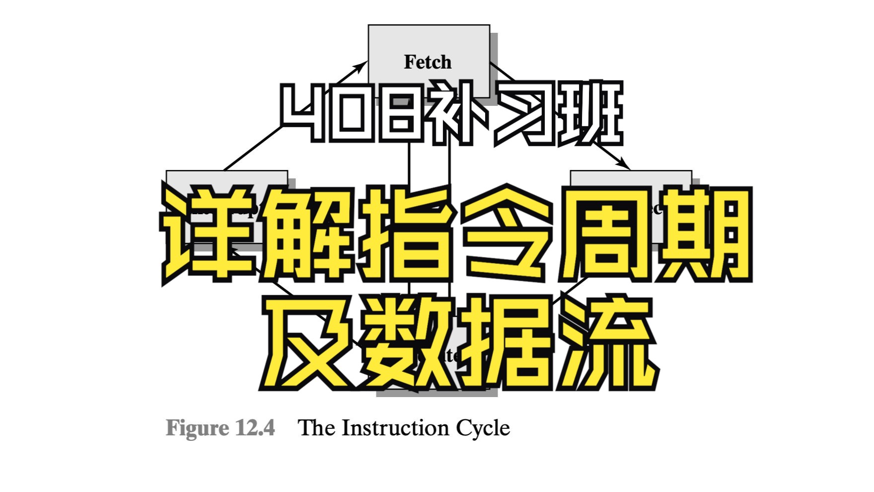 【408补习班第20期】详解指令周期的概念及其数据流,好久没做这么短的视频了,开心𐟘„预告下期特别节目!哔哩哔哩bilibili