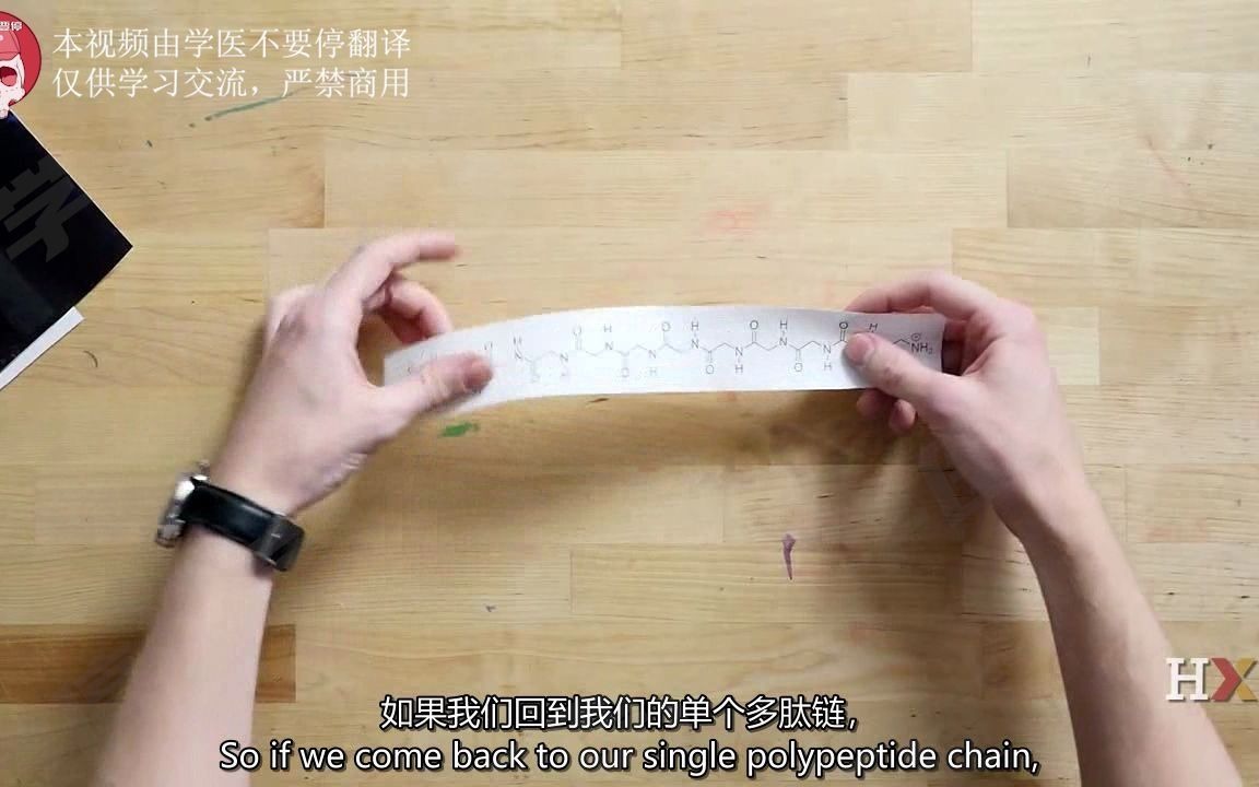 【哈佛大学】| 细胞生物学:线粒体‰‡和ž𚦗‹(4.2 )哔哩哔哩bilibili