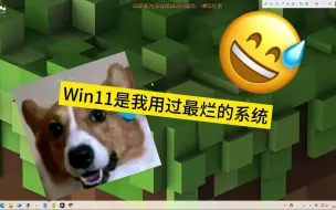 Download Video: Win11是我用过最烂的系统