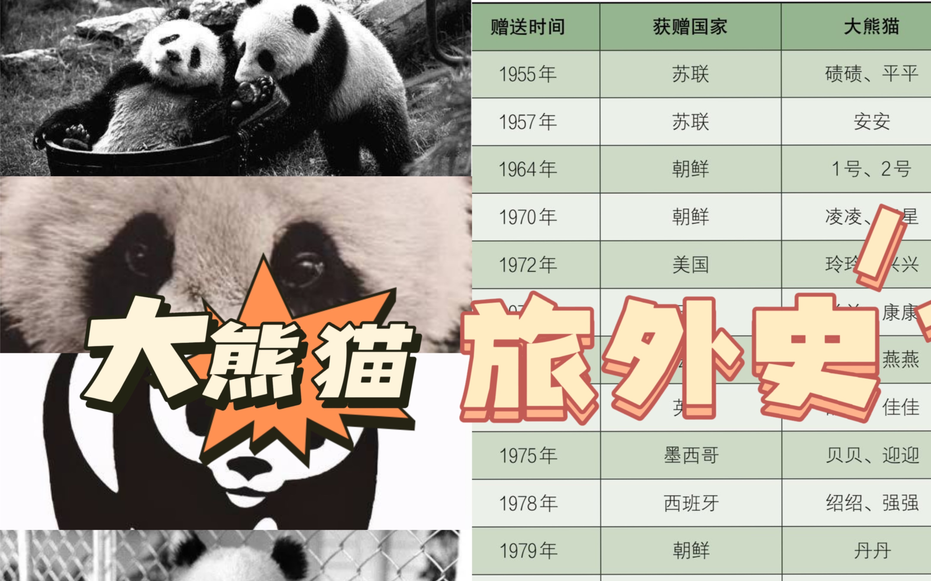 对人类有益的熊猫外交,但对于熊猫而言呢,期待丫丫荣归故里