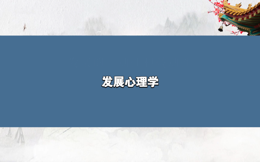 发展心理学主动性与被动性哔哩哔哩bilibili