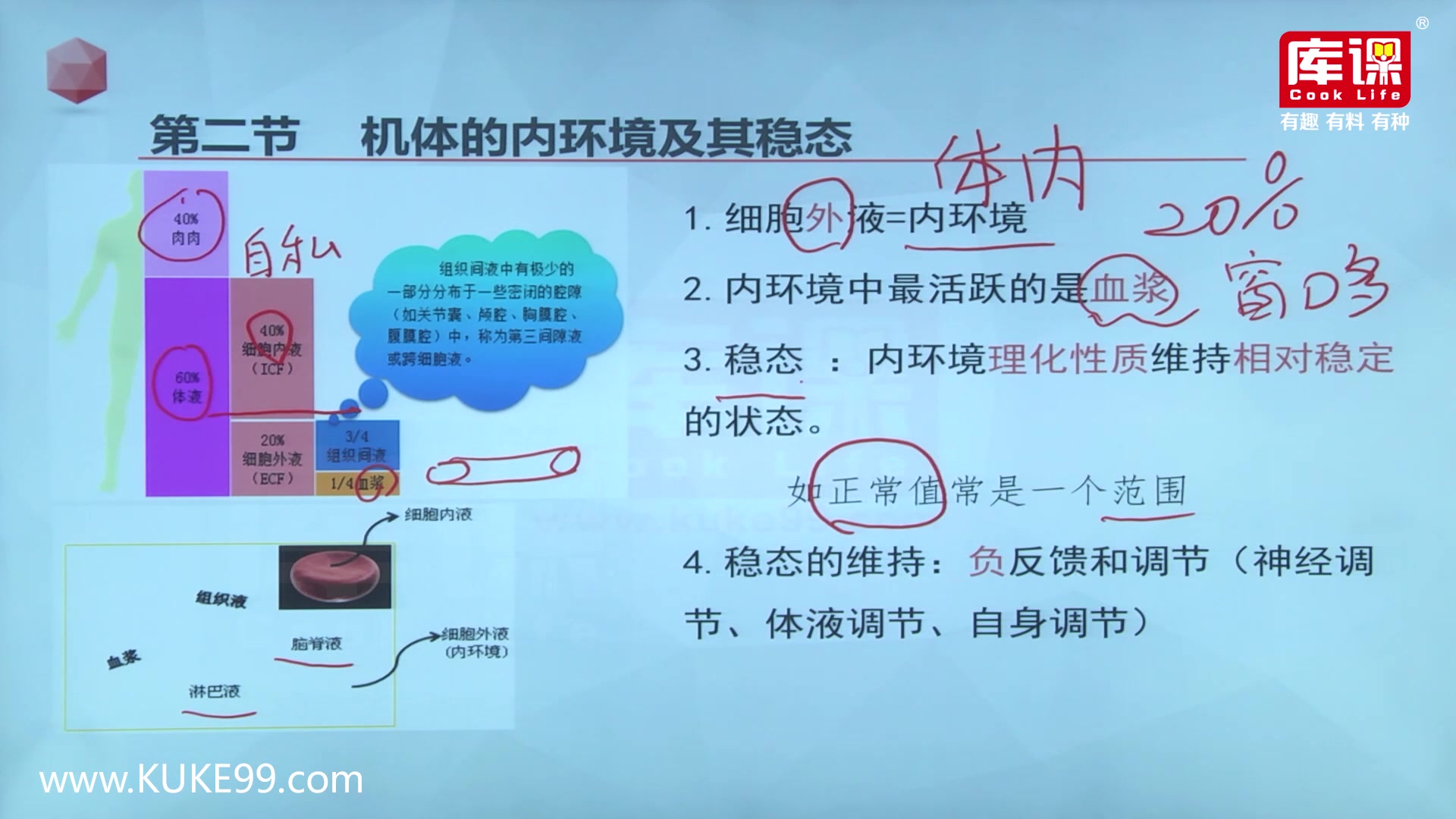 2020河南专升本生理学基础精讲课第1章 绪论第2节 机体的内环境及其稳态哔哩哔哩bilibili