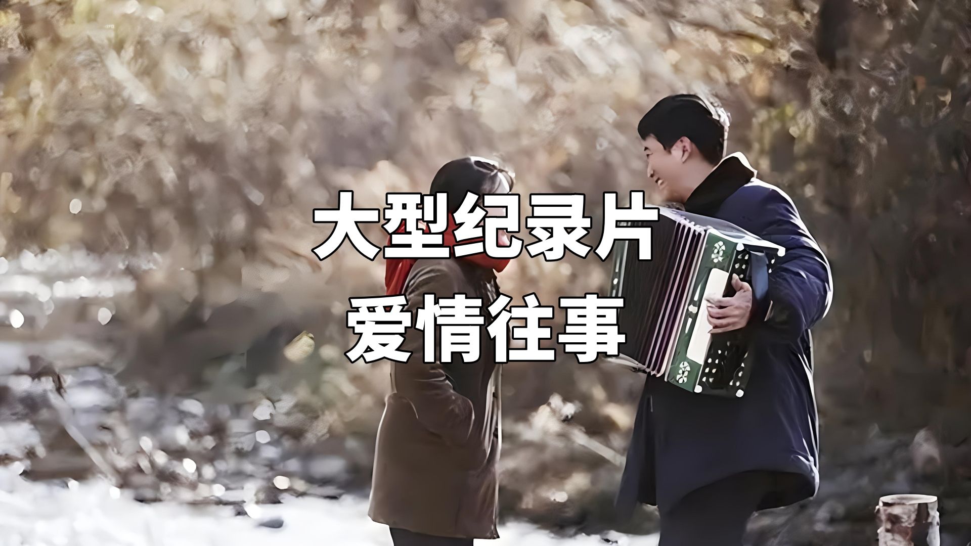 大型纪录片之爱情往事