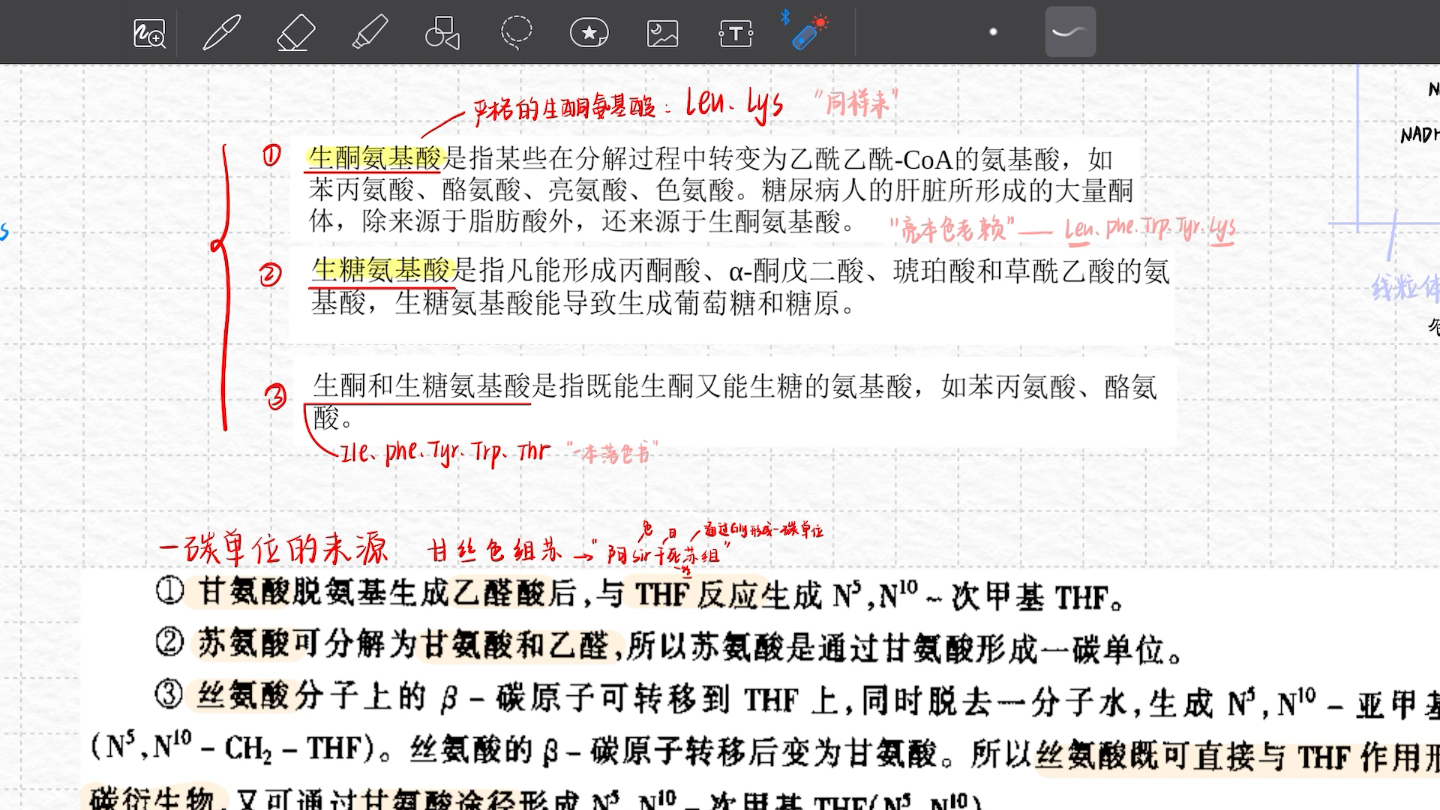 生糖生酮氨基酸|一碳单位的来源|含记忆口诀|自用哔哩哔哩bilibili