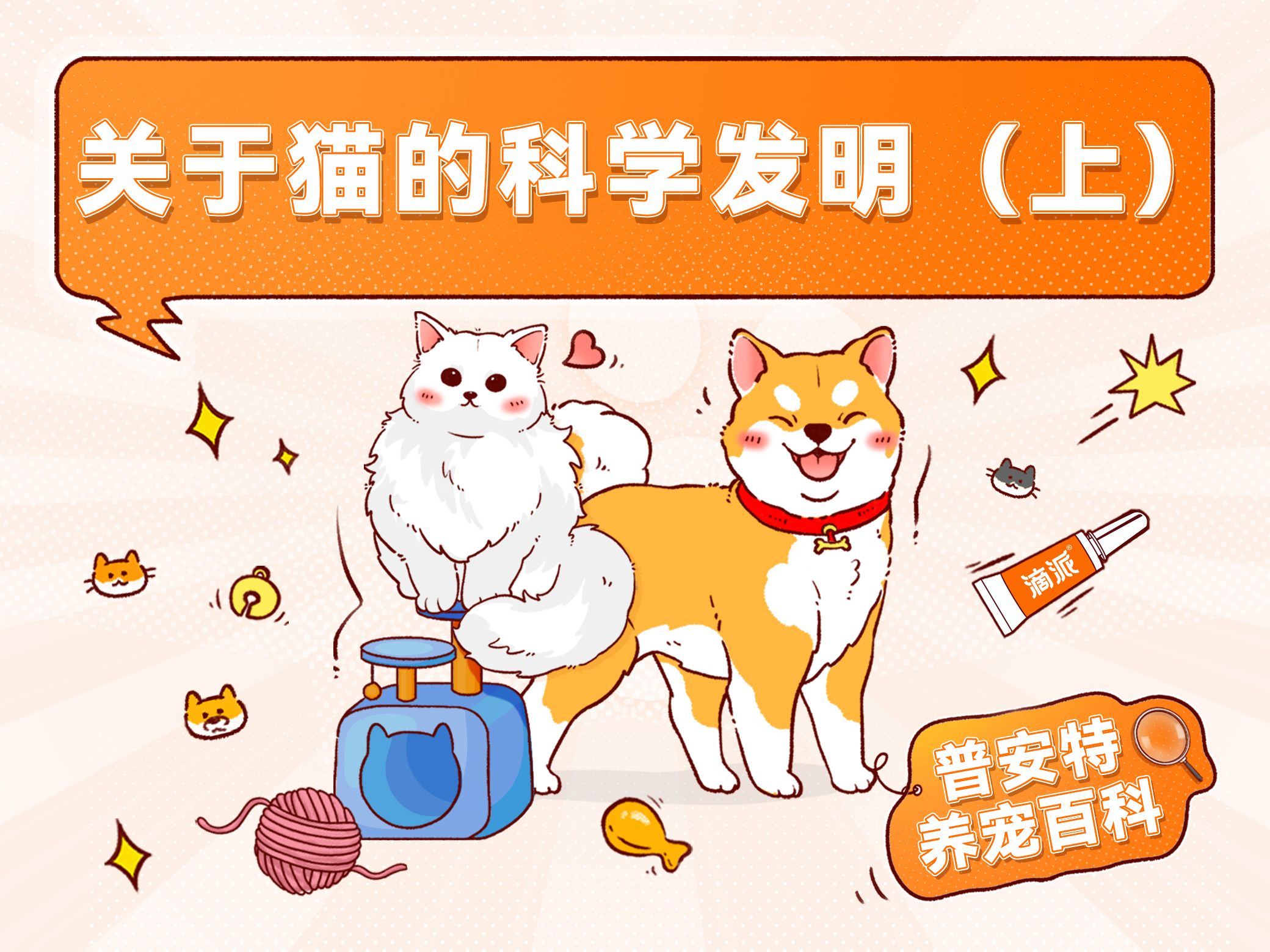 关于猫咪的科学发明,你知道有几个?哔哩哔哩bilibili