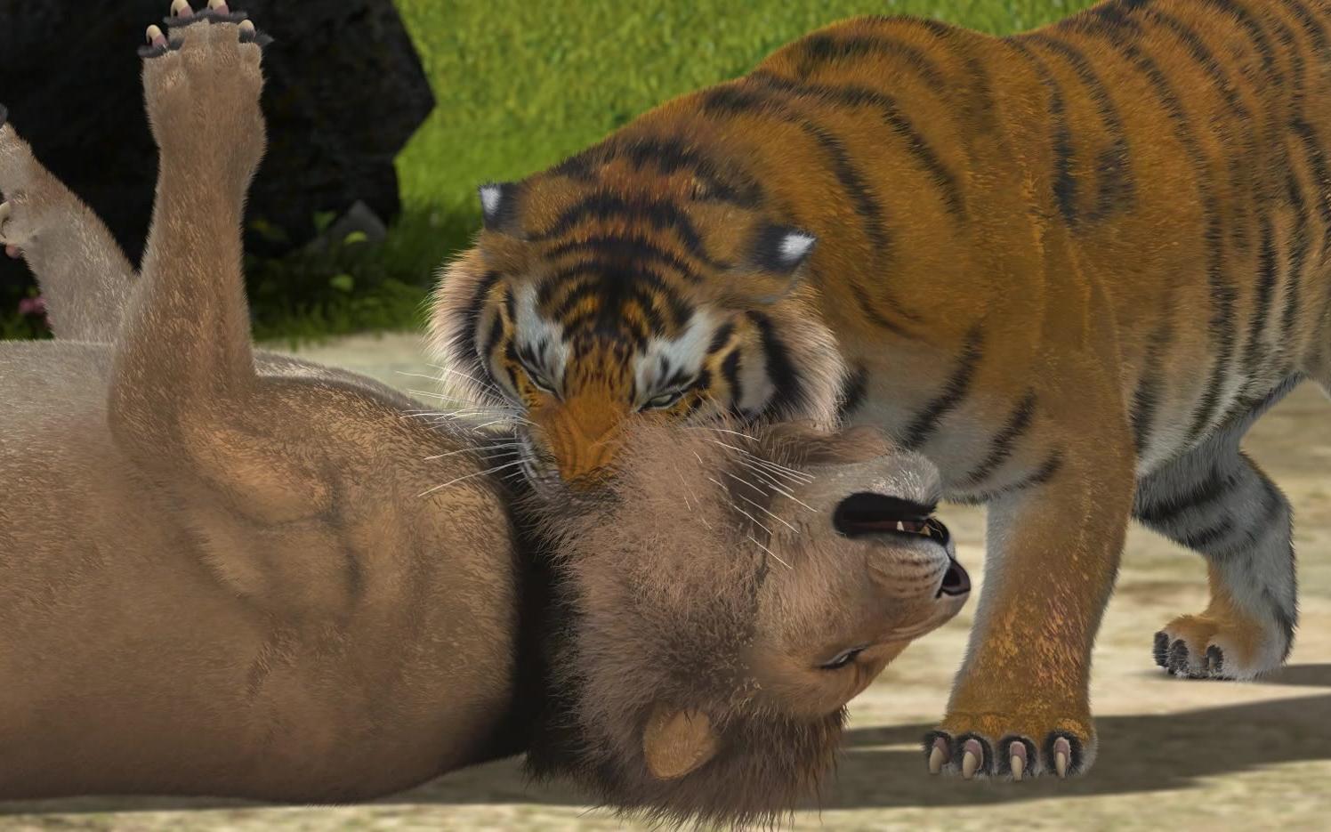 震惊:老虎咬死狮子全过程 狮虎斗模拟 老虎和狮子谁厉害 老虎vs狮子