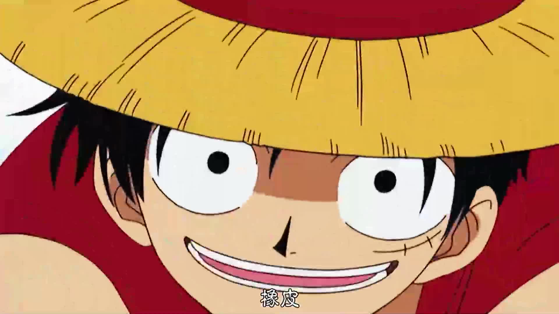 海贼王08:路飞愤怒一拳!只为这只忠犬!