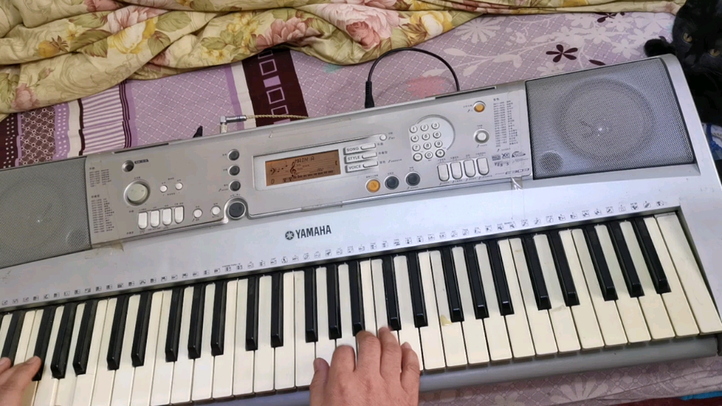 yamaha prs-e303 《小松树》