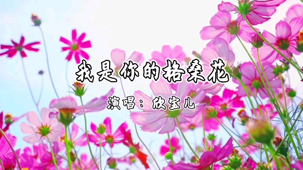 《我是你的格桑花》完整版哔哩哔哩bilibili