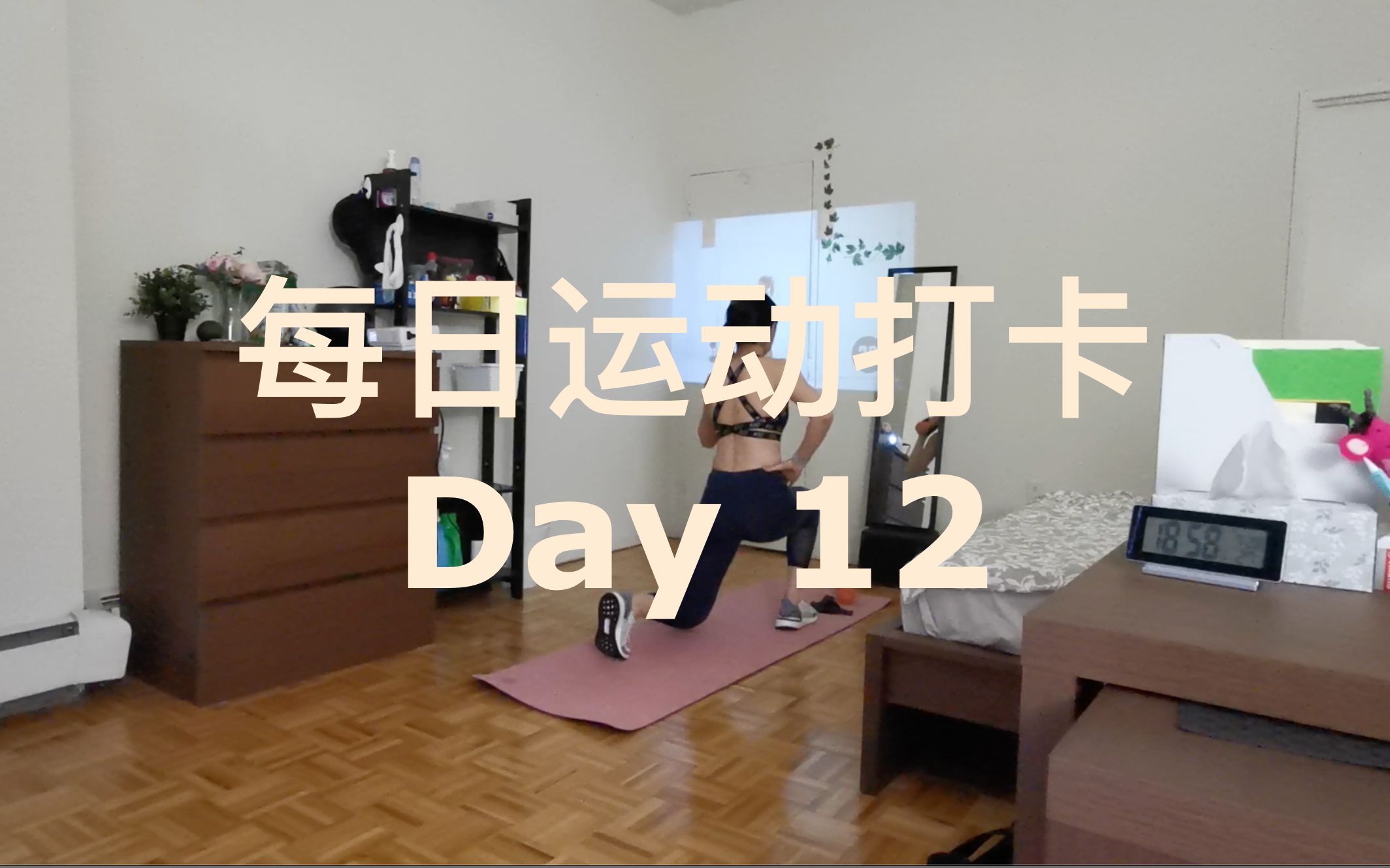 每日运动打卡day12