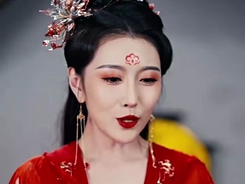 王丽娜赘婿图片